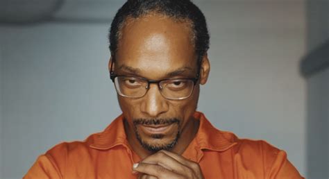 Snoop Doggs Shocking Arrest Uncovering The Drama Behind The Rappers Highprofile Detention