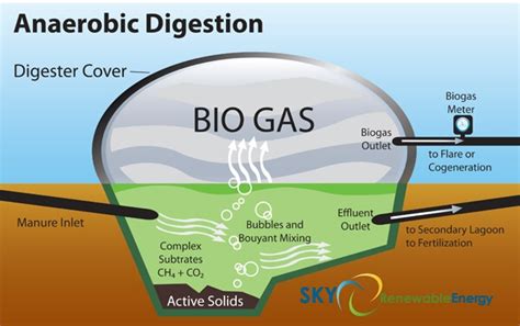 How To Build An Aerobic Digester - Phaseisland17