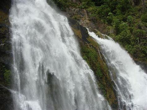 Kuranda Tour Via Skyrail Kuranda Scenic Rail Small Group Tour