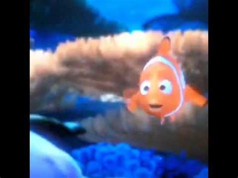 Nemo Wants Fish Tits Mix YouTube