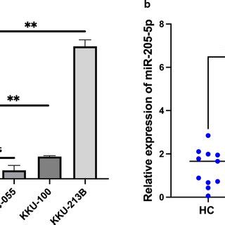 Overexpression Of MiR 205 5p In CCA Cell Lines And CCA Patients A