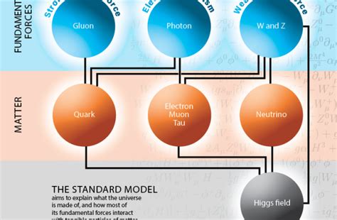 The Standard Model: The Physics Theory of (Mostly) Everything | Discover Magazine