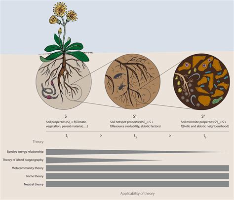 Soil of Biodiversity | Formenorm