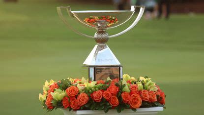 FedEx Cup Playoffs: Format, Points And Starting Scores Explained | Golf ...