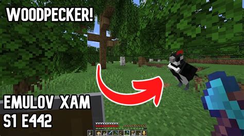 IAM A Woodpecker Minecraft Hardcore Let S Play S1 E442 YouTube