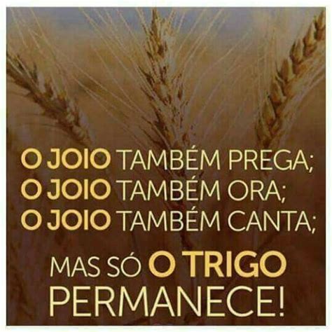 O Homem É Fruto Do Meio Quem Disse - O Homem ãƒâ© Fruto Do Meio - linha