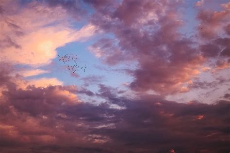 Clouds in Purple Sky · Free Stock Photo