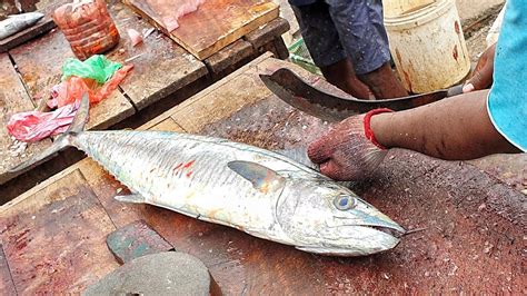 Huge Spanish Mackerel Fish Slicing In Sri Lanka Seer Fish Slicing