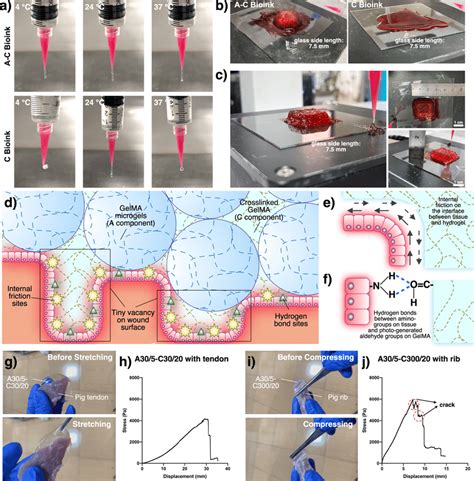 In Situ Bioprinting Simulation On Traditional D Bioprinter And Binding