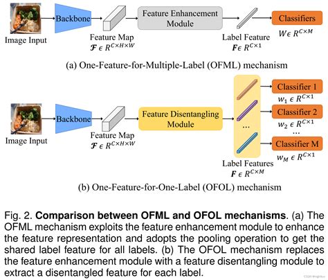 Learning Disentangled Label Representations For Multi Label