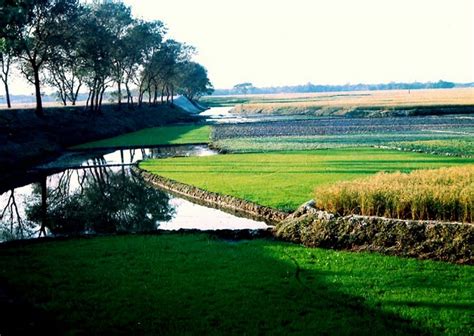 Gift of Nature: Beauty of Nature: Bangladesh