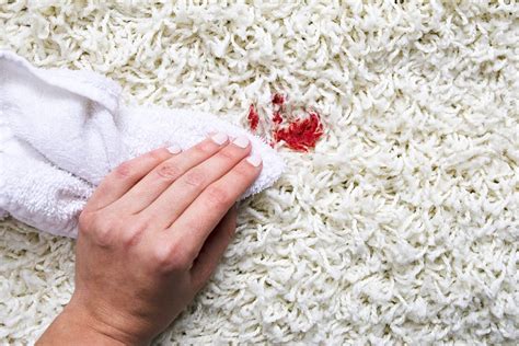 How To Get Blood Out Of Carpet — Best Stain Removers For Blood On