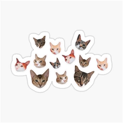 "Lee Know Cat Stickers" Sticker for Sale by minanakz | Redbubble