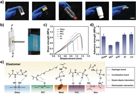 Adhesive properties of the elastomer. a) Photos of the ME‐10‐5... | Download Scientific Diagram