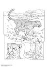 Coloriage Puma Coloriages Gratuits Imprimer