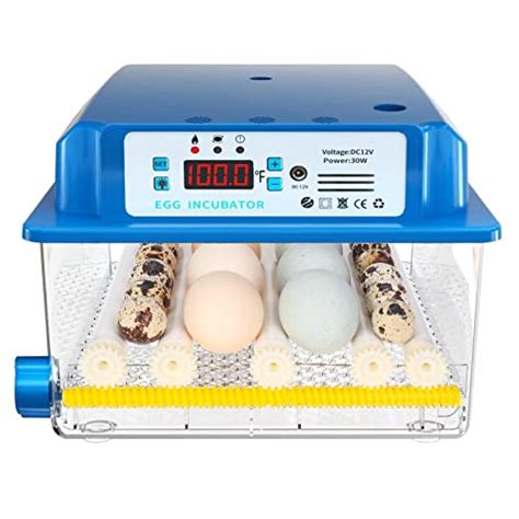 Best Quail Incubators: Buyer's Guide and Reviews