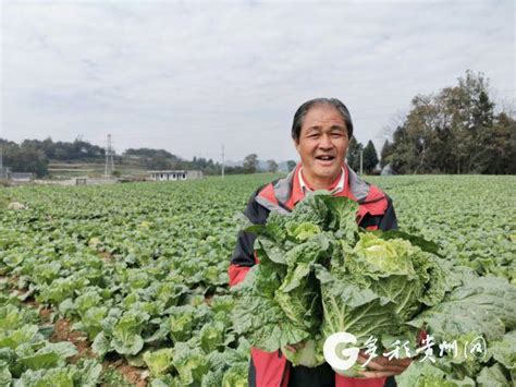 5000万元！贵州下达专项资金，支持威宁这两个项目发展澎湃号·政务澎湃新闻 The Paper