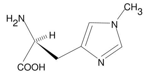 3 Methyl L Histidine Sigma Aldrich