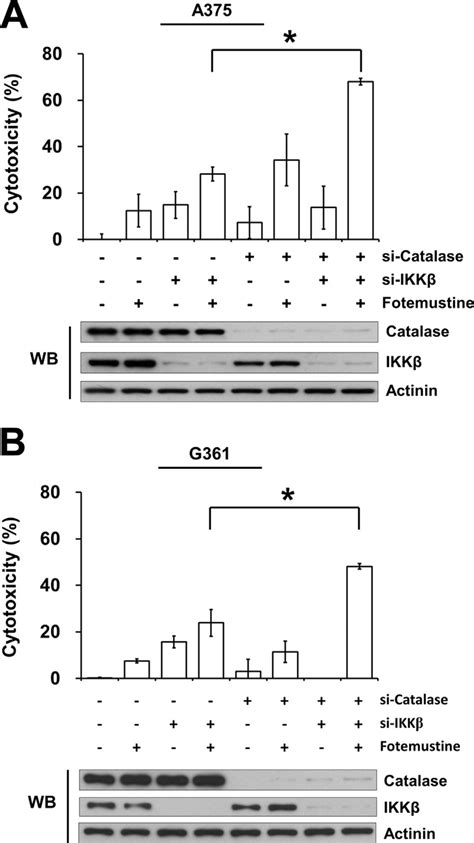 Combining Catalase and IKKβ Inhibition Sensitizes Melanoma Cells to