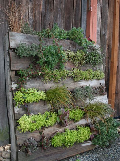 Shipping Pallet Vertical Planter From Soil To Salad Gardening And