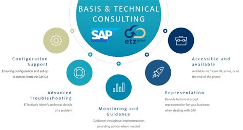 Navigating Sap Rise With Ease Skilled Basis Consultant Etz