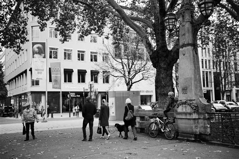 Autumn K Graben D Sseldorf Germany Amselchen Flickr