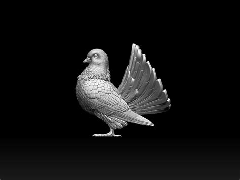 ArtStation - pigeon | Resources