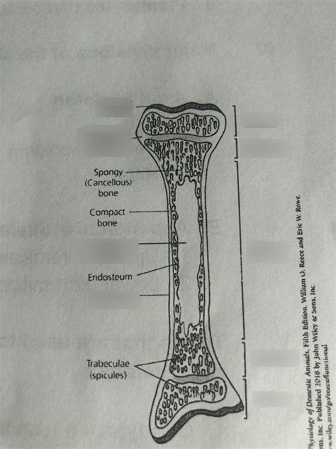 Lab 1 Diagram | Quizlet 