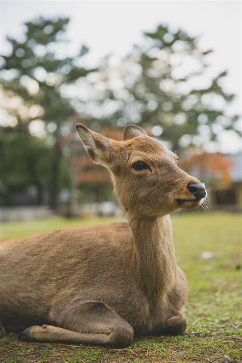 Wildlife Sanctuary Photos, Download The BEST Free Wildlife Sanctuary Stock Photos & HD Images