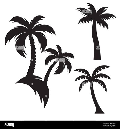 Vector Set Of Tropical Palm Trees Silhouettes Illustration Isolated On