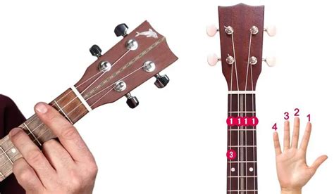 Basic Ukulele Chords For Beginners Know Your Instrument Atelier Yuwa