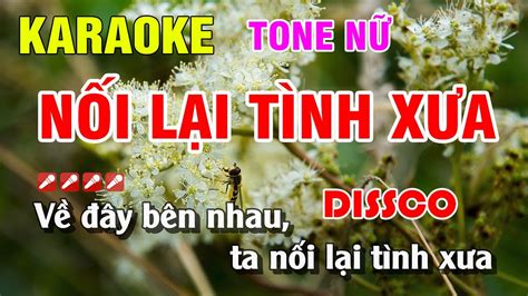 Karaoke N I L I T Nh X A Tone N Nh C S Ng Beat Hay Nguy N Linh Youtube