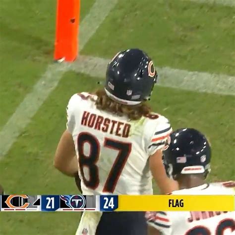 Pin on bears highlights