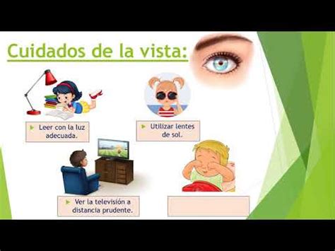 Cuidados De La Vista Olfato Y Tacto Biology Quizizz