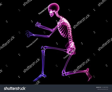 X Ray Human Body 3d Render Stock Illustration 1141867205 | Shutterstock