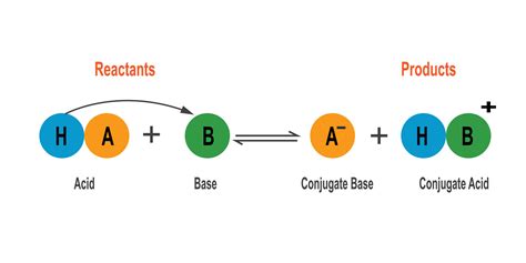 Bronsted Lowry acid base theory. 27798462 Vector Art at Vecteezy