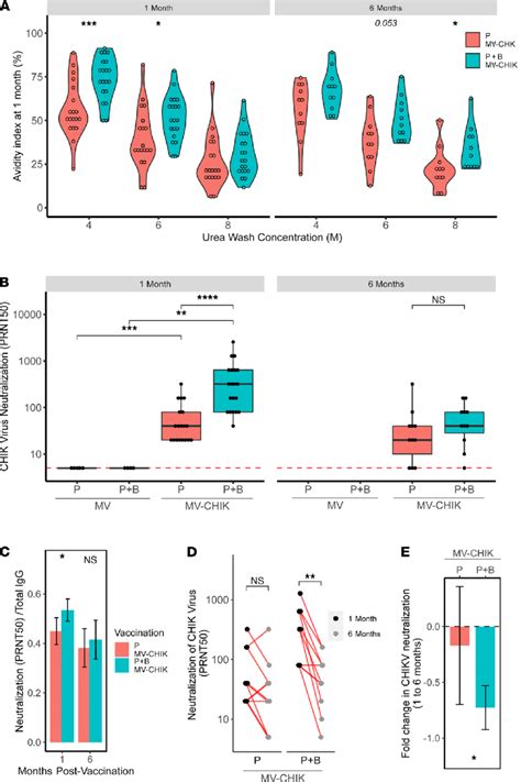 Avidity And Neutralizing Capacity Of Chik Virus Specific Antibody