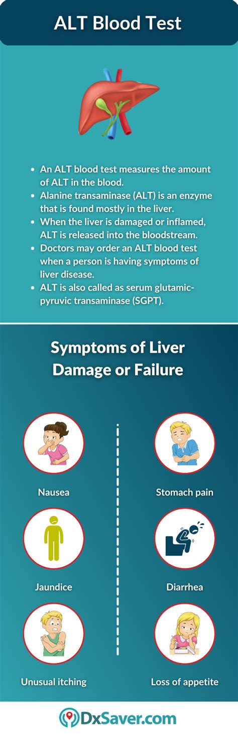 ALT Blood Test – Test Cost, Procedure and Preparation – DxSaver.com