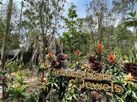 Mandai Bird Paradise To Open In 2023, Has 8 Areas Including Rainforests
