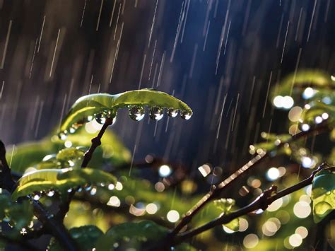 Cisternas Para La Captaci N De Agua De Lluvia Rotoplas Centroam Rica