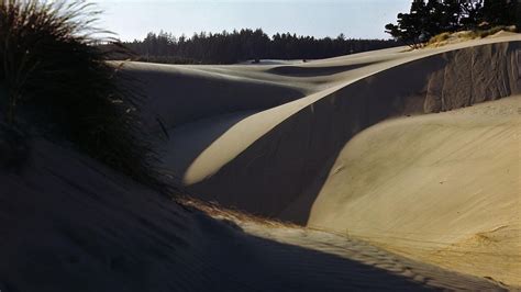 How to See the Oregon Dunes: Useful Travel Information