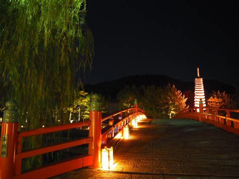 京の七夕 京都の夏の風物詩「京の七夕」