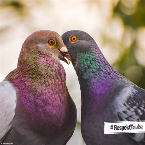 Tierschutzbund On Twitter Zum Start Ins Wochenende Lassen Wir Euch