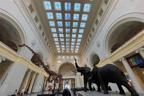 Skip The Line Field Museum Natural History Semi Private Guided Tour