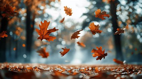 colorful autumn leaves falling gently   forest  sunset