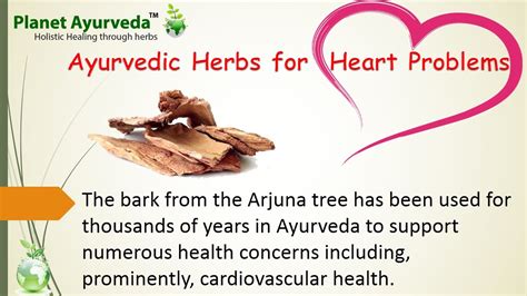 Top Heart Care Herbs Herbs To Get Healthy Heart Youtube