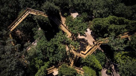 Qu Hacer En Oporto Arte Naturaleza Y Un Paseo De Altura Por El Gran