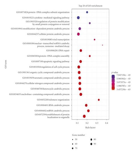 Go Function Enrichment Analysis And Enrichment Analysis Of Kegg Download Scientific Diagram