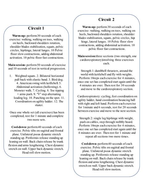 Example of the two different circuits. | Download Scientific Diagram