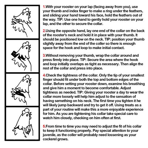 Snapklik.com : Upgrade Anti Crow Rooster Collar, Chicken Neckband Noise